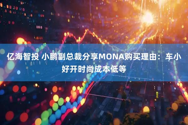 亿海智投 小鹏副总裁分享MONA购买理由：车小好开时尚成本低等